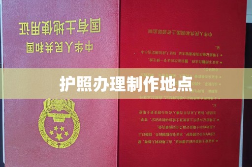 普定护照办理制作地点