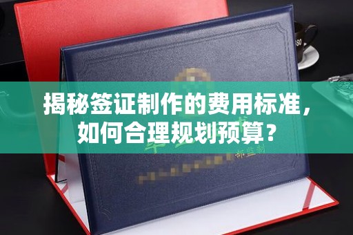 普定揭秘签证制作的费用标准，如何合理规划预算？