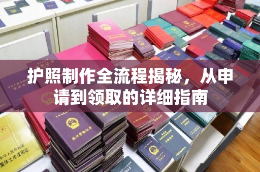 普定护照制作全流程揭秘，从申请到领取的详细指南