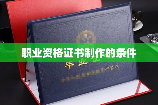 普定职业资格证书制作的条件