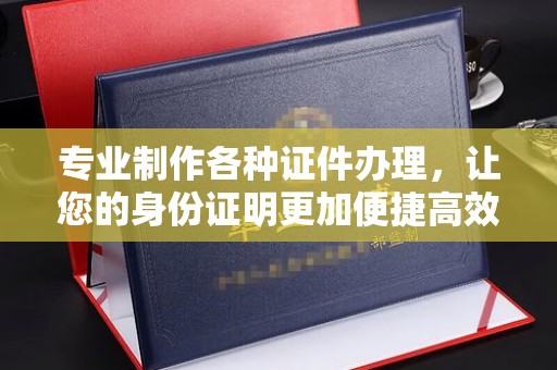 普定专业制作各种证件办理，让您的身份证明更加便捷高效