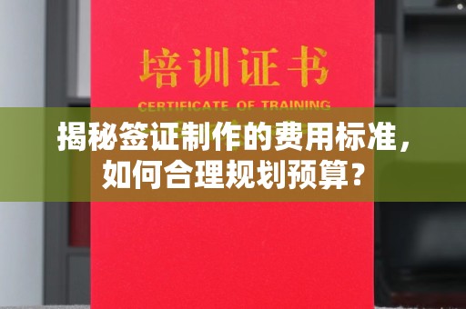 普定揭秘签证制作的费用标准，如何合理规划预算？