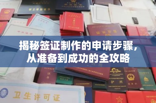 普定揭秘签证制作的申请步骤，从准备到成功的全攻略
