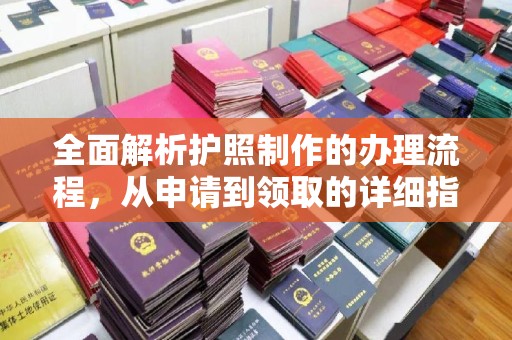 普定全面解析护照制作的办理流程，从申请到领取的详细指南