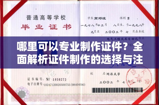 普定哪里可以专业制作证件？全面解析证件制作的选择与注意事项
