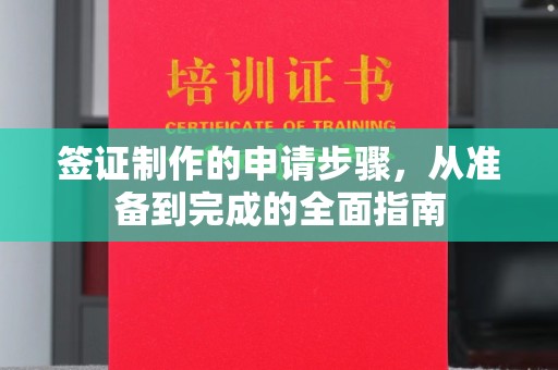 普定签证制作的申请步骤，从准备到完成的全面指南
