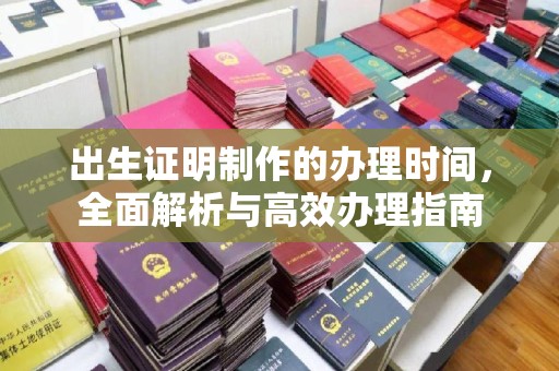 普定出生证明制作的办理时间，全面解析与高效办理指南