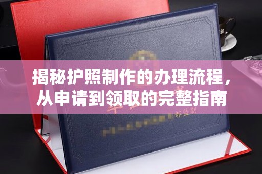 普定揭秘护照制作的办理流程，从申请到领取的完整指南