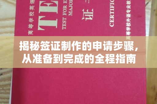 普定揭秘签证制作的申请步骤，从准备到完成的全程指南