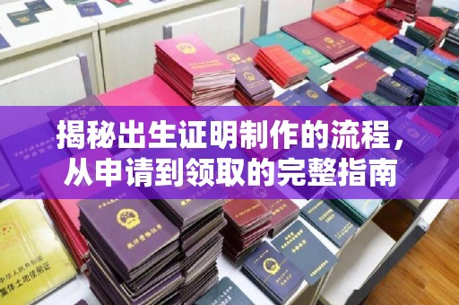 普定揭秘出生证明制作的流程，从申请到领取的完整指南