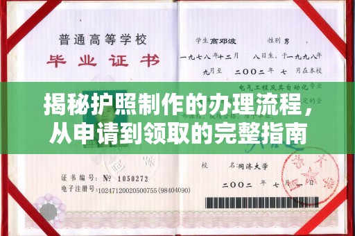 普定揭秘护照制作的办理流程，从申请到领取的完整指南