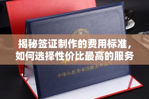 普定揭秘签证制作的费用标准，如何选择性价比最高的服务？