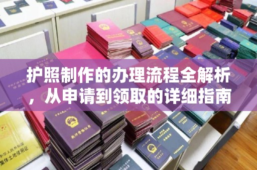 普定护照制作的办理流程全解析，从申请到领取的详细指南
