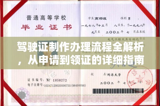 普定驾驶证制作办理流程全解析，从申请到领证的详细指南